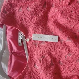 Pink Size 14 dress Trina Turk